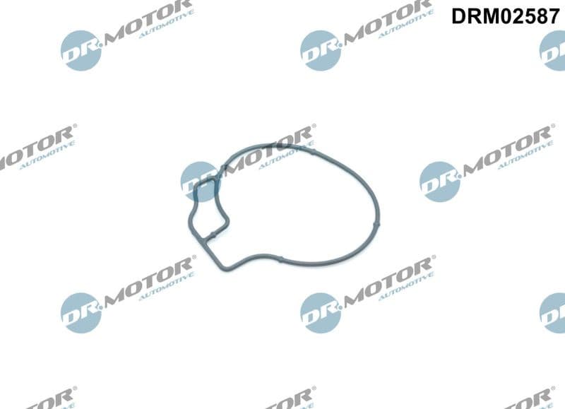 Gasket, vacuum pump DRM02587