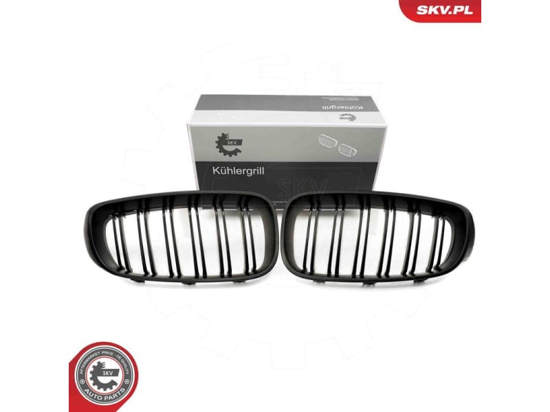 Radiator Grille 66SKV133