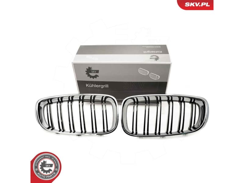 Radiator Grille 66SKV134
