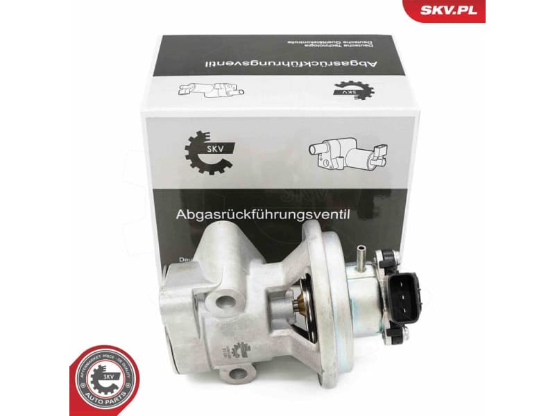 EGR Valve 14SKV269