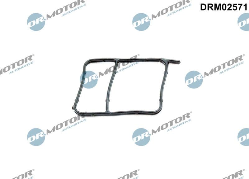 Gasket, water pump DRM02571
