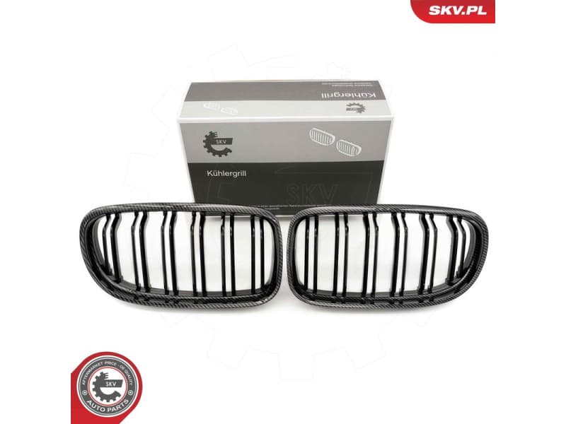 Radiator Grille 66SKV103