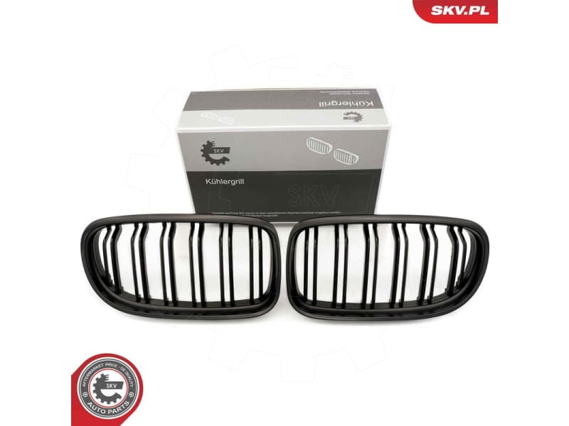 Radiator Grille 66SKV101