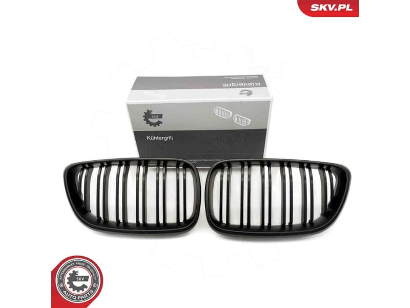 Radiator Grille 66SKV034