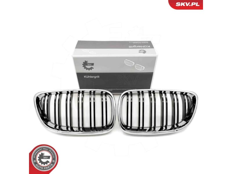 Radiator Grille 66SKV033