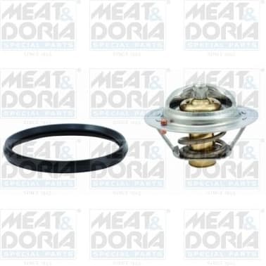 Thermostat, coolant 92631