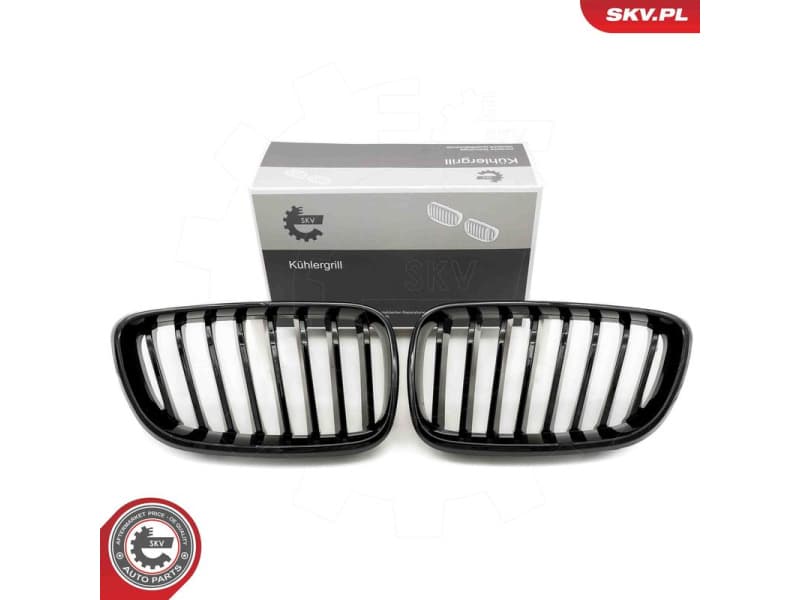 Radiator Grille 66SKV029