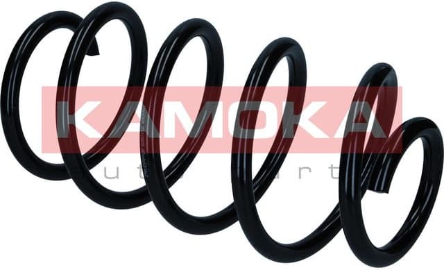 Coil spring 2110825