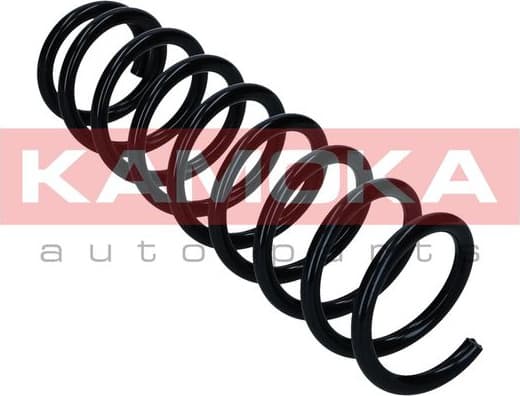 Suspension Spring 2120335