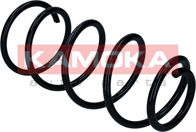 Suspension Spring 2110865