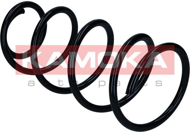 Suspension Spring 2110865 - image 3