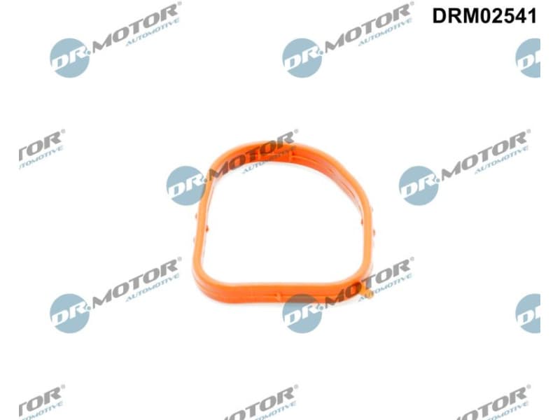 Gasket, coolant flange DRM02541