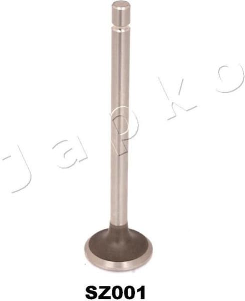 Exhaust Valve 5SZ001