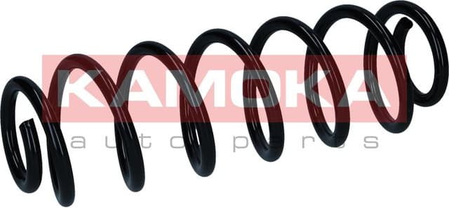 Suspension Spring 2120574 - image 4