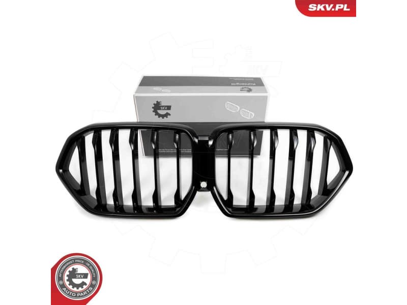 Radiator Grille 66SKV307