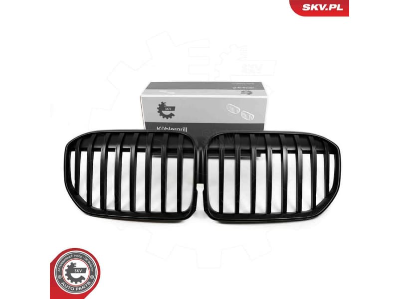 Radiator Grille 66SKV225