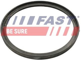 Seal Ring, charge air hose FT49922