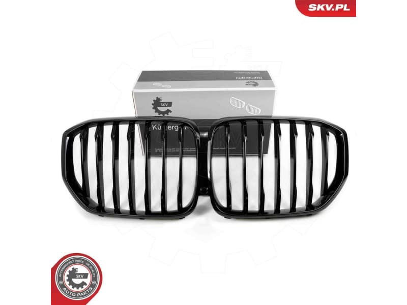 Radiator Grille 66SKV300