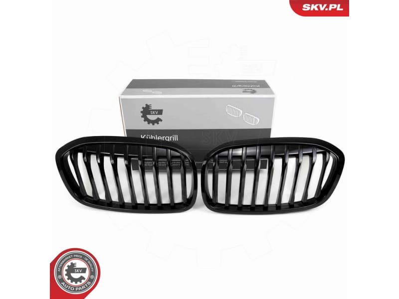Radiator Grille 66SKV041