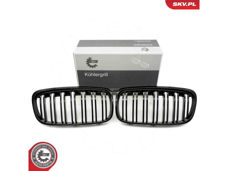 Radiator Grille 66SKV040