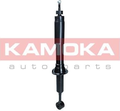 Shock Absorber 2001284