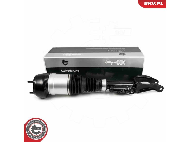 Air Suspension Strut 58SKV717