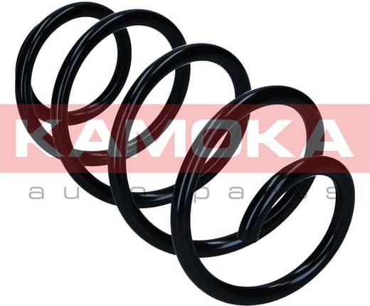 Suspension Spring 2110751