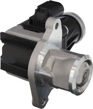 EGR Valve 703209