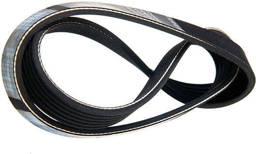 V-ribbed Belt 06-00845-SX