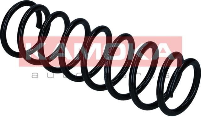 Suspension Spring 2110664