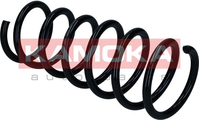 Suspension Spring 2120701