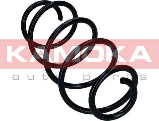 Suspension Spring 2110841