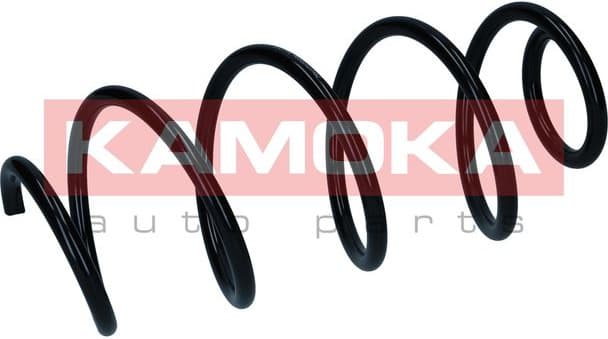 Suspension Spring 2110841 - image 4