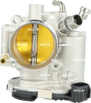 Throttle Body 408033