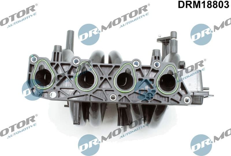 Intake Manifold Module DRM18803