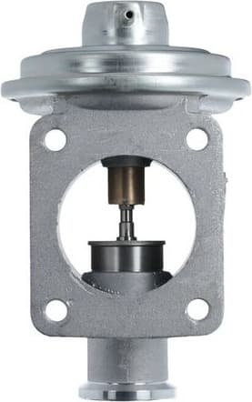 EGR Valve 703239