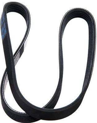 V-ribbed Belt 05-00950-SX