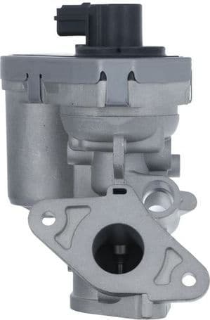 EGR Valve 703215