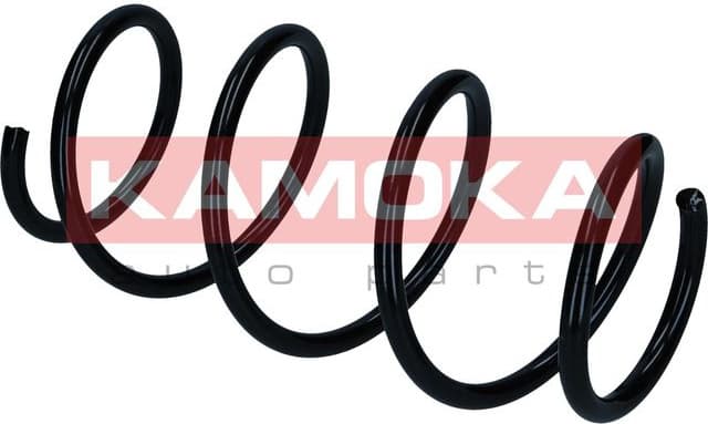 Suspension Spring 2110623