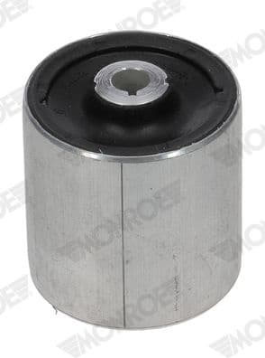 Mounting, control/trailing arm L11L19