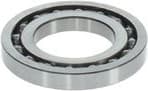 Bearing 1460925001