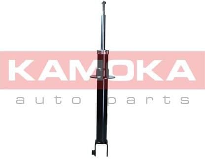 Shock Absorber 2001127