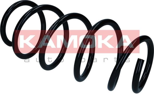 Suspension Spring 2110877