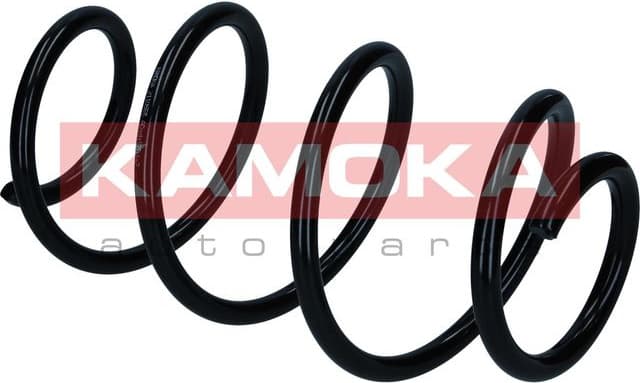 Suspension Spring 2110565