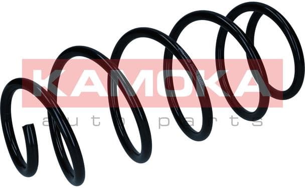 Suspension Spring 2110707