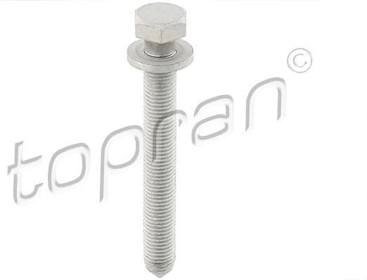 Screw 116 950