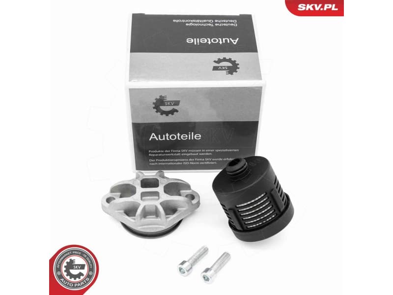 Hydraulic Filter, multi-plate clutch (all-wheel drive) 31SKV392