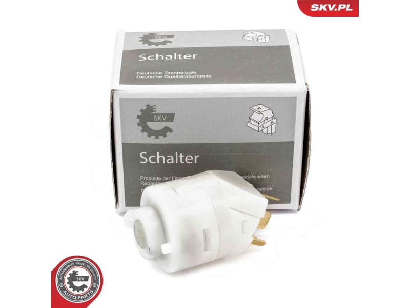 Ignition Switch 65SKV020