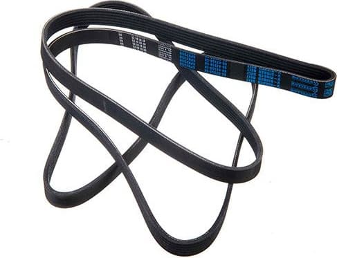 V-ribbed Belt 06-02550-SX