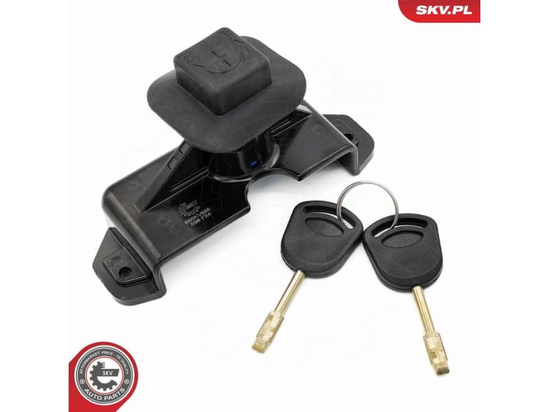 Lock Cylinder 65SKV555 - image 2